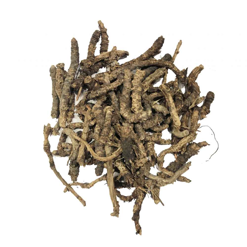 Kutki (Picrorhiza kurroa)