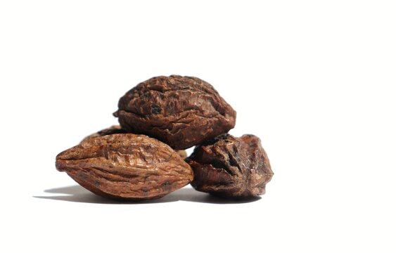 Haritaki (Terminalia chebula)